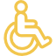 disability